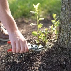 Leonard Deluxe Soil Knife, Pruner, Saw, And Sheath Combo -Garden Outdoor Tools 1286 8 1 1