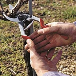 Felco 13 Multipurpose Pruning Shears - Use With 1 Or 2 Hands 10 Felco 13 Multipurpose Pruning Shears - Use With 1 Or 2 Hands -Garden Outdoor Tools 13fel in use