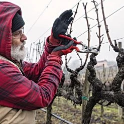 Felco 13 Multipurpose Pruning Shears - Use With 1 Or 2 Hands 11 Felco 13 Multipurpose Pruning Shears - Use With 1 Or 2 Hands -Garden Outdoor Tools 13fel in use 3