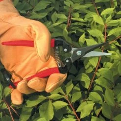 ARS Needle Nose Hand Shears, 7.5-inch Overall Length -Garden Outdoor Tools 300l 4
