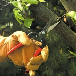 ARS Needle Nose Hand Shears, 7.5-inch Overall Length -Garden Outdoor Tools 300l 5