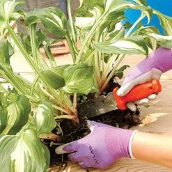 Leonard Deluxe Soil Knife, Pruner, Saw, And Sheath Combo -Garden Outdoor Tools 4752 4 1