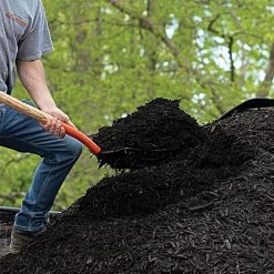 Leonard 10-Tine Forged Steel Scoop Fork With 48-Inch Straight Handle 12 Leonard 10-Tine Forged Steel Scoop Fork With 48-Inch Straight Handle -Garden Outdoor Tools amf10l 5 1