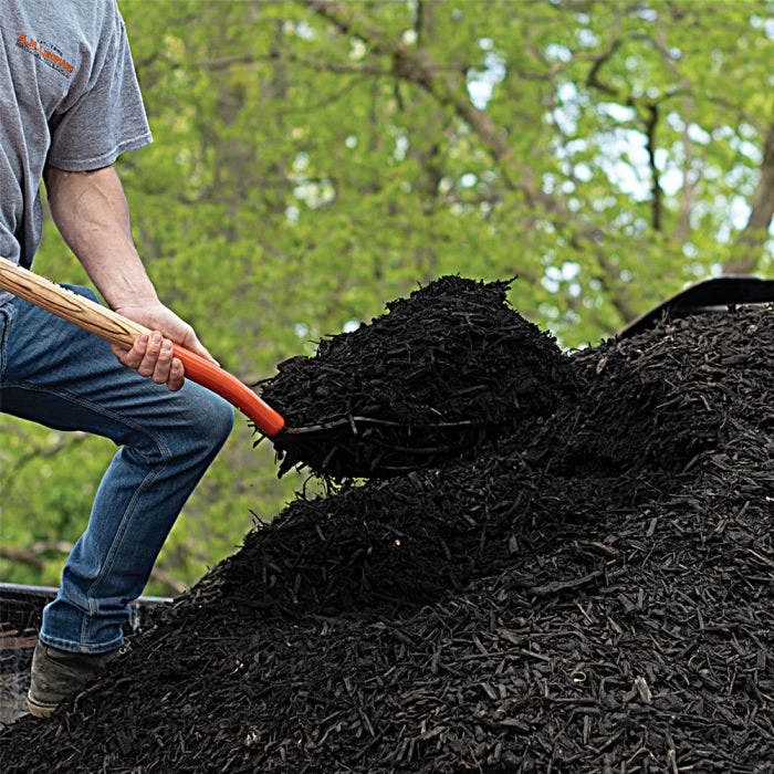 Leonard 10-Tine Forged Steel Scoop Fork With 48-Inch Straight Handle 6 Leonard 10-Tine Forged Steel Scoop Fork With 48-Inch Straight Handle - Image 6
