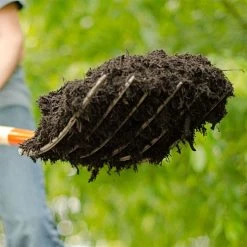 Leonard 6 Tine Forged Steel Manure Forks -Garden Outdoor Tools amf6 8