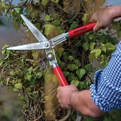 Berger Compact Precision Topiary Shear With Wooden Handles -Garden Outdoor Tools b2510 live2