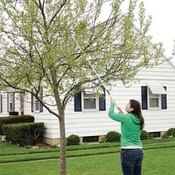 ARS LongReach Pruner 6ft Fixed Length Super Light Razor Edge -Garden Outdoor Tools lrp6 7