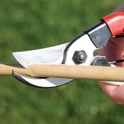 Okatsune Hand Pruners, 0.75-inch Cutting Capacity, 7.125-inch Length -Garden Outdoor Tools ok101 5 2