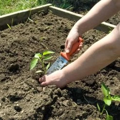 LEONARD 1235 PRUNER 4750 SOIL KNIFE SPK8 SHEATH COMBO -Garden Outdoor Tools pk4c 7