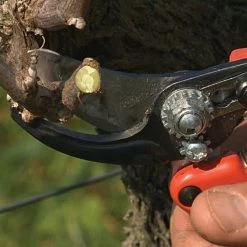 Bahco Professional Ergonomic Pruners, 0.75-inch Cutting Capacity -Garden Outdoor Tools pxm2 5